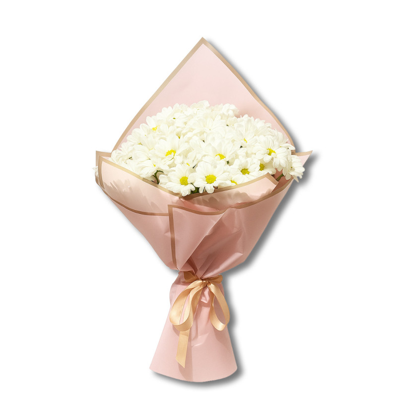 PEMBE BUKET KAĞIDI BEYAZ PAPATYA S