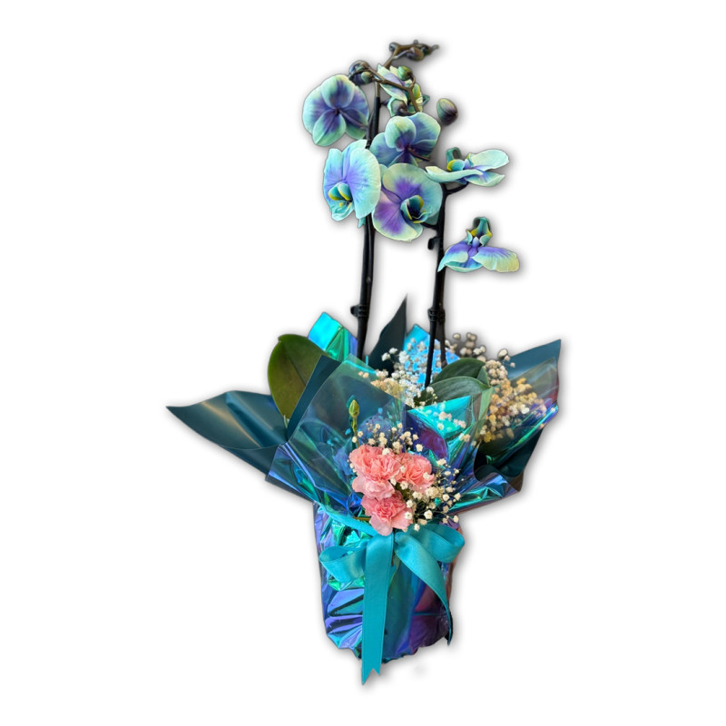 TASARIM ÇİFT DAL MAVİ ORKİDE