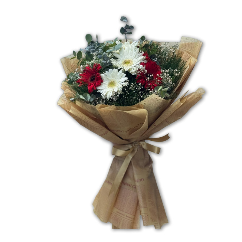 GERBERA KIRMIZI ' BEYAZ OKALİPTUS