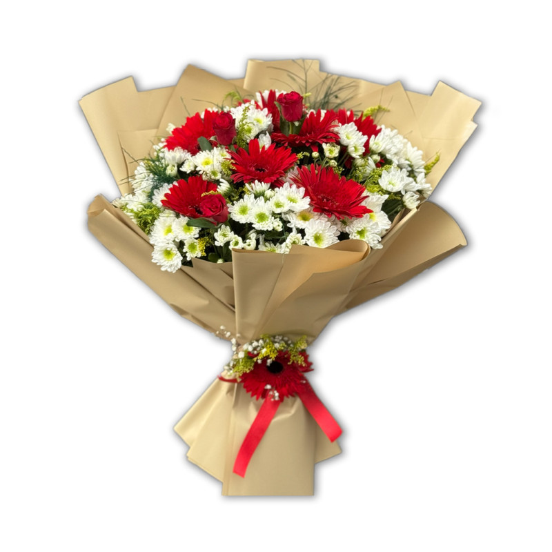 PAPATYA GERBERA (L) BOY