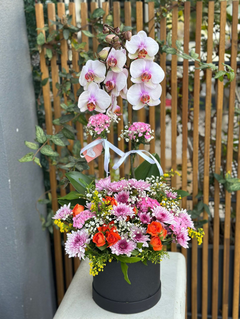 PEMBE ORKİDE ARAJMANI